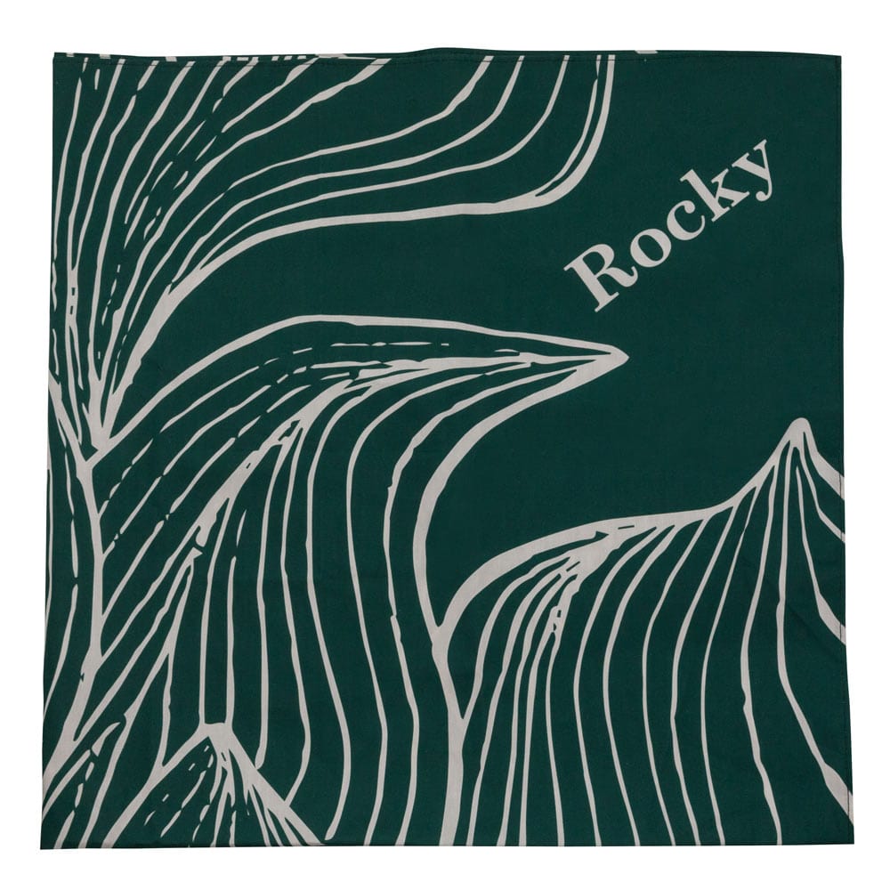 Reusable Furoshiki Wrap
